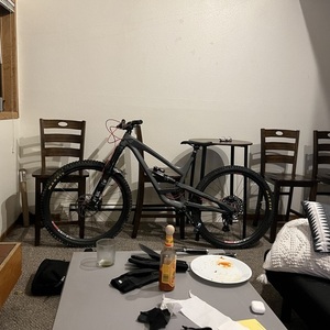 2019 YT Capra Silver, gray or bare metal