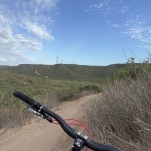 2019 YT Capra Silver, gray or bare metal