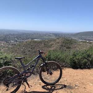 2019 YT Capra Silver, gray or bare metal