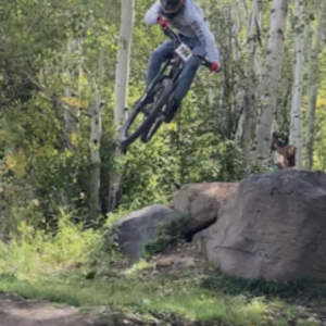 2019 YT Capra Silver, gray or bare metal