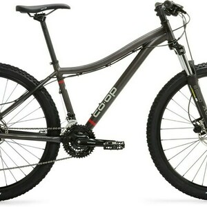 2021 REI Co-op DRT 1.1 Silver, gray or bare metal