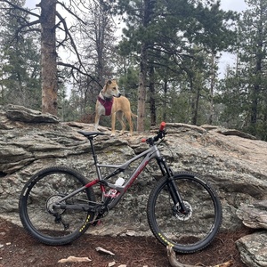 2021 Orbea Occam H30 Silver, gray or bare metal
