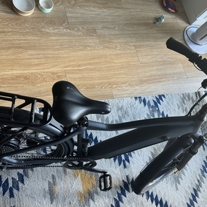 2022 Ride1Up 700 Series XR Silver, gray or bare metal