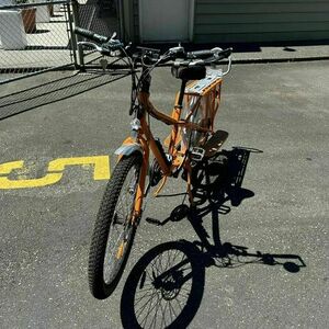 2018 Rad Power Bikes radwagon e-motorcycle (or e-dirtbike) Orange