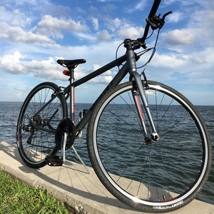 2014 Giant Escape 0 Silver, gray or bare metal