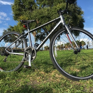 2014 Giant Escape 0 Silver, gray or bare metal