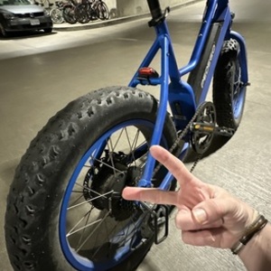 2022 Pedego Element- 20” Step Thru Blue