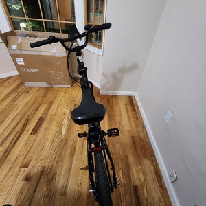 2024 Lectric eBikes Black