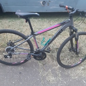 Nishiki Mountain Silver, gray or bare metal