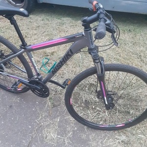 Nishiki Mountain Silver, gray or bare metal