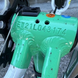 2023 Woom Woom 4 Green and White