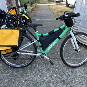 2023 Woom Woom 6 Green and White