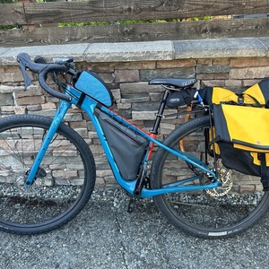 2019 Salsa Cutthroat