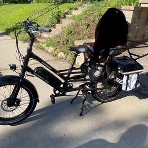 2021 Rad Power Bikes Radwagon 4 Black