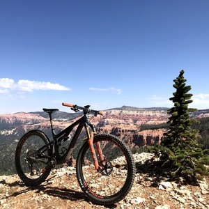 2020 Pivot Trail 429 Silver, gray or bare metal and Orange