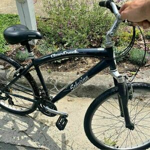 Schwinn Clear Creek Silver, gray or bare metal