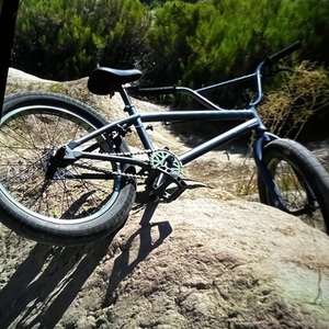 2014 Haro BMX Silver, gray or bare metal