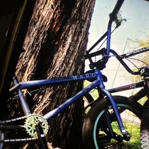 2014 Haro BMX Silver, gray or bare metal