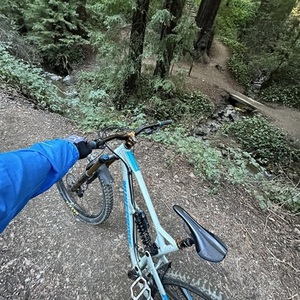 2019 Nukeproof Silver, gray or bare metal and Blue