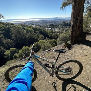 2019 Nukeproof Silver, gray or bare metal and Blue