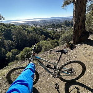 2019 Nukeproof Silver, gray or bare metal and Blue