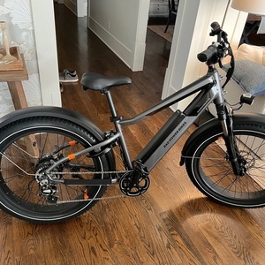 2024 Rad Power Bikes Rad Rover 6 Plus - High Step Silver, gray or bare metal