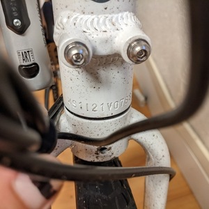 2021 Rad Power Bikes RadMission ST 1.5 White