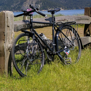 Trek Black