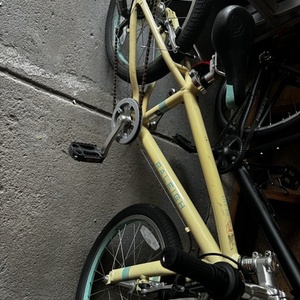 2020 Raleigh Lily 20 White and Teal