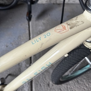 2020 Raleigh Lily 20 White and Teal