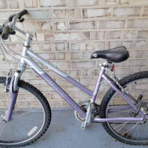 Giant Boulder w Purple/Silver Purple and Silver, gray or bare metal
