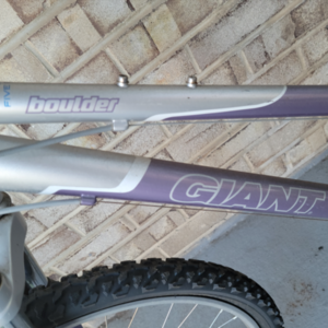 Giant Boulder w Purple/Silver Purple and Silver, gray or bare metal