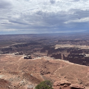 2020 Specialized Stumpjumper Black