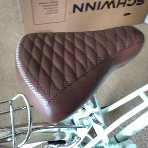 Schwinn City Bike Teal and Brown