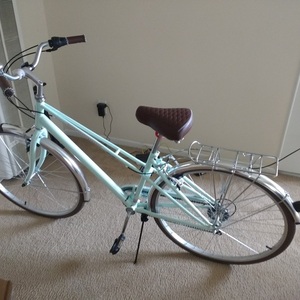 Schwinn City Bike Teal and Brown