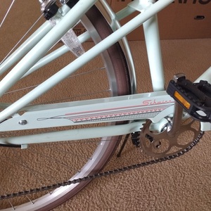 Schwinn City Bike Teal and Brown