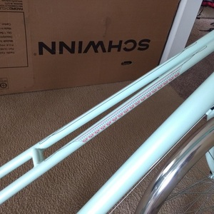 Schwinn City Bike Teal and Brown