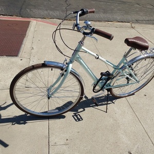 Schwinn City Bike Teal and Brown