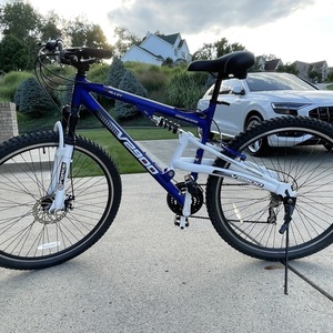 Genesis Blue and White