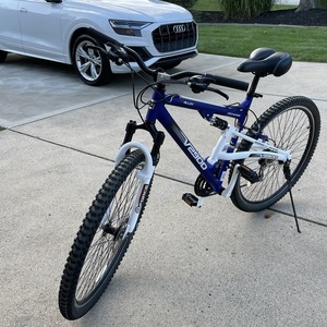 Genesis Blue and White