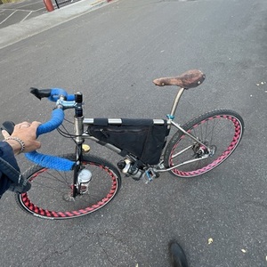 Salsa Fargo 20 Silver, gray or bare metal