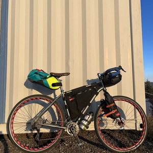 Salsa Fargo 20 Silver, gray or bare metal