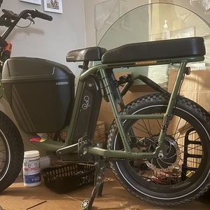 2021 Rad Power Bikes Radrunner Green