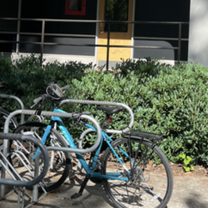 2021 Trek FX Sport 2 Blue