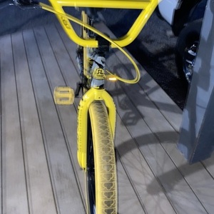 2024 SE Bikes So cal flyer Yellow or Gold