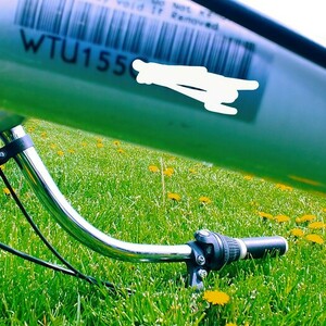 Trek Cruiser Classic Blue and White