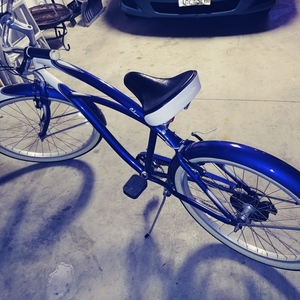 Trek Cruiser Classic Blue and White