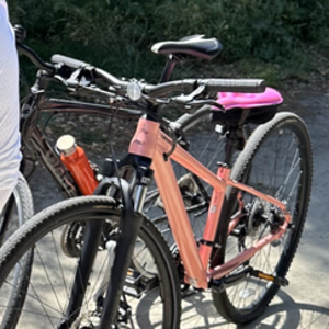 2022 Cannondale SmartForm C3 Alloy, flat mount disc Pink