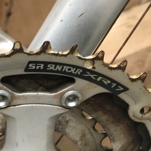 Raleigh Sentinel Silver, gray or bare metal
