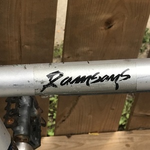 Raleigh Sentinel Silver, gray or bare metal